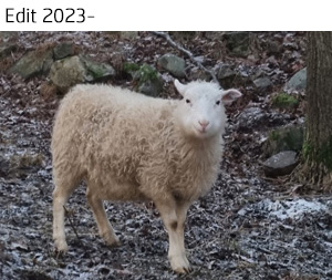 Edit 2024.jpg